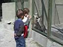 Bayramoglu zoo.